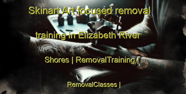 Skinart Art-focused removal training in Elizabeth River Shores | RemovalTraining | RemovalClasses | SkinartTraining-United States